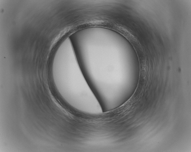 X0000073910734200608110939