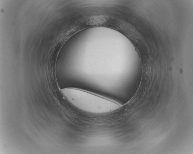 X0000073910743200608110939