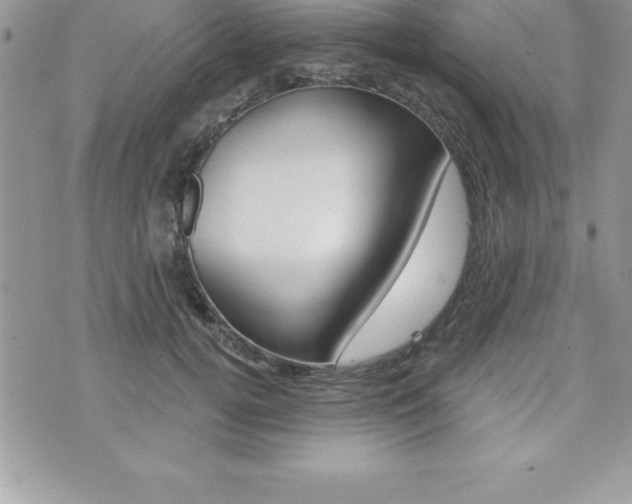 X0000073910752200608110940