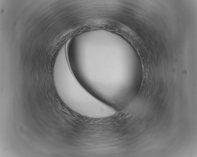 X0000073910773200608110939