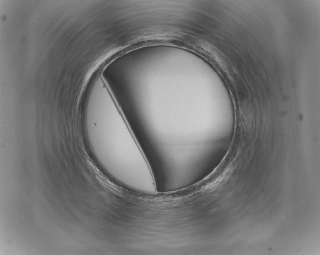 X0000073910779200608110939