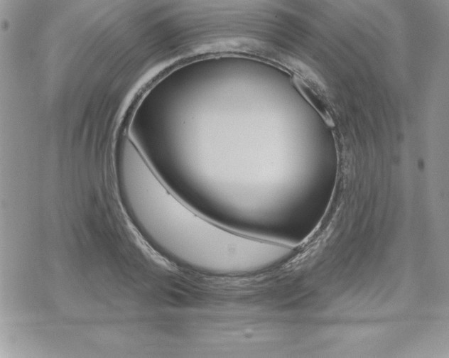 X0000073910792200608110939