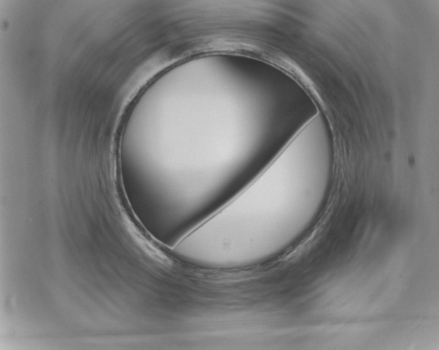 X0000073910795200608110939