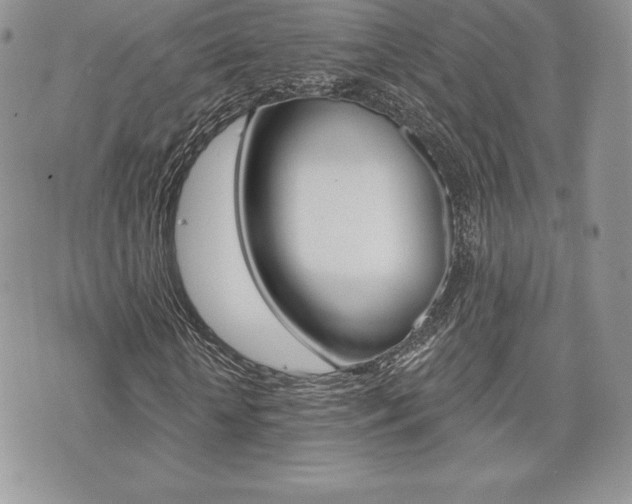 X0000073910818200608110938