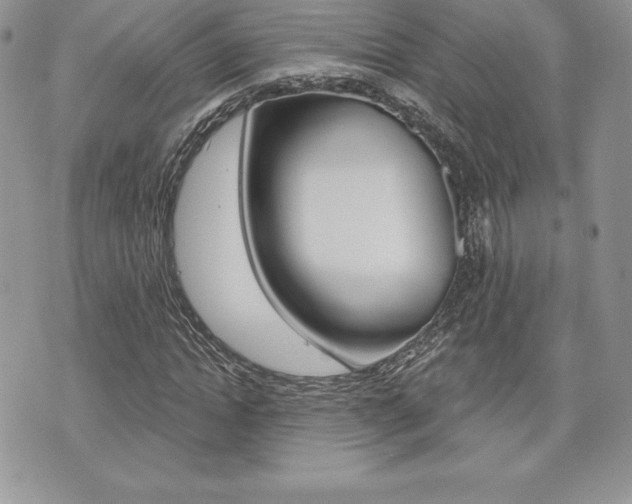 X0000073910822200608110938