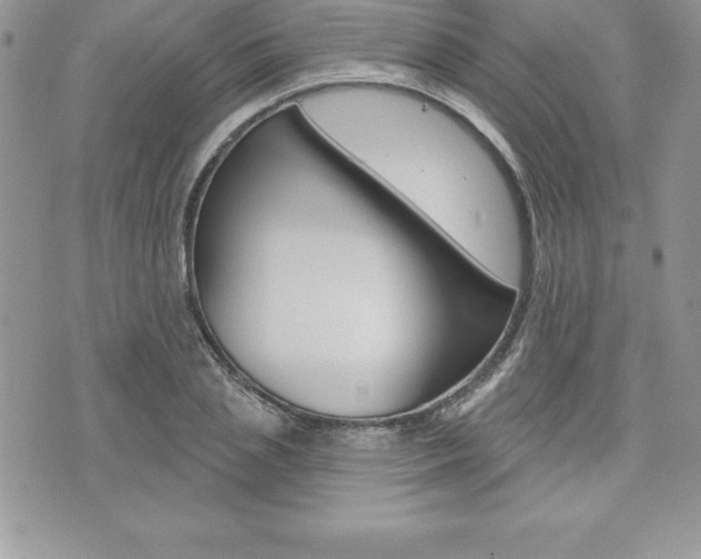X0000073910837200608110938