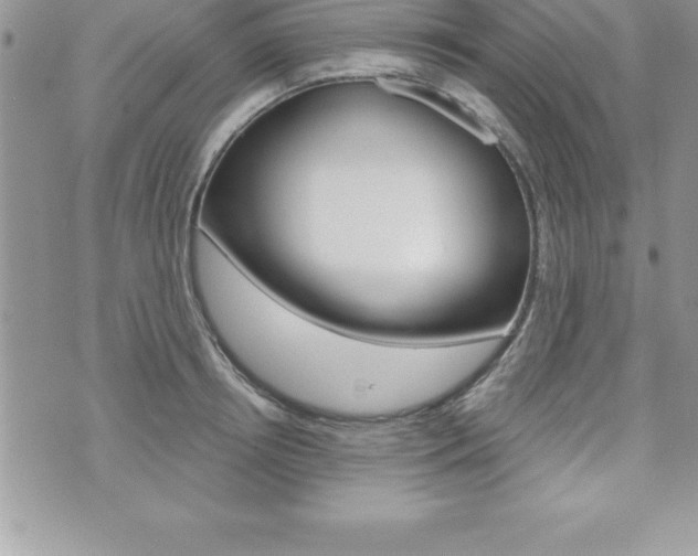X0000073910850200608110938
