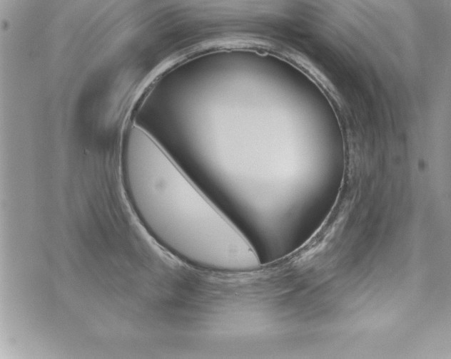 X0000073910853200608110938