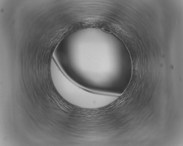X0000073910868200608110937