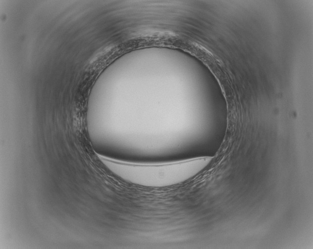 X0000073910869200608110937