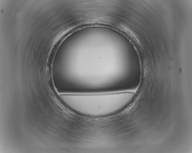 X0000073910876200608110937