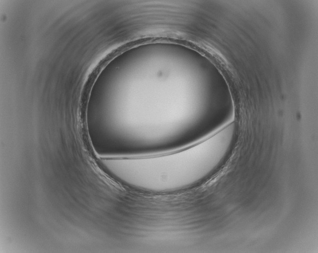 X0000073910880200608110937