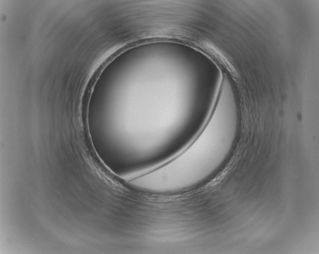 X0000073910884200608110937