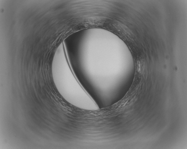 X0000073910915200608110936