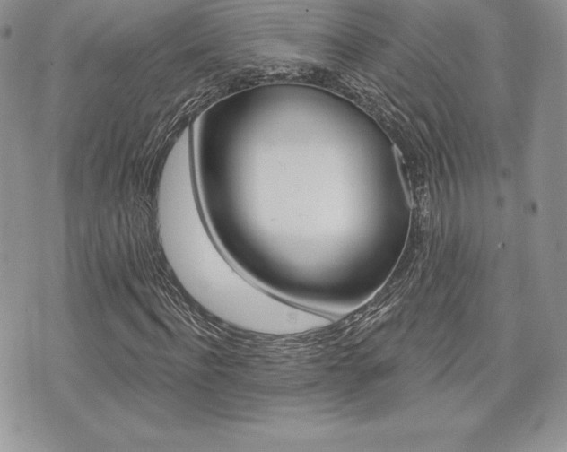 X0000073910916200608110936