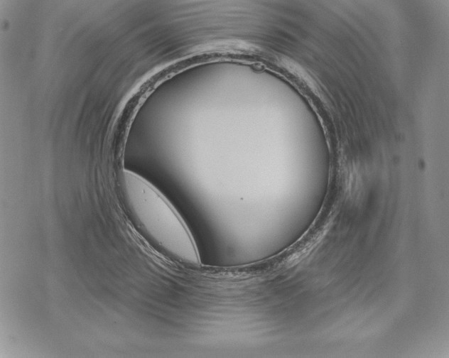 X0000073910923200608110936