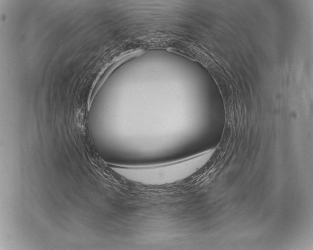 X0000073911010200608110934