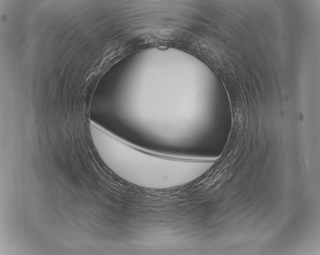 X0000073911012200608110934
