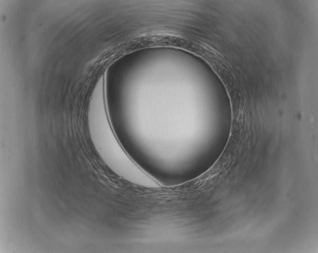 X0000073911014200608110935