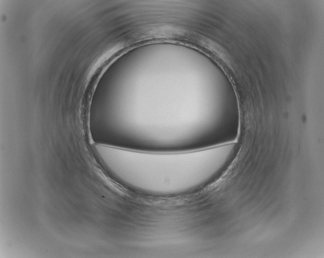 X0000073911026200608110935