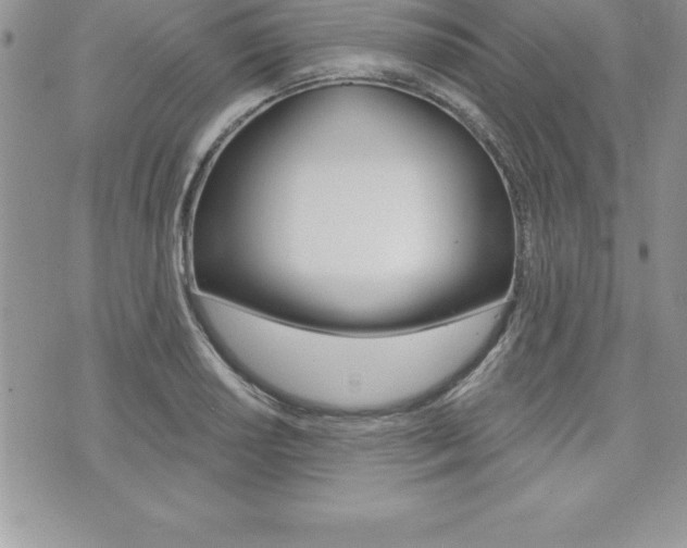 X0000073911034200608110935