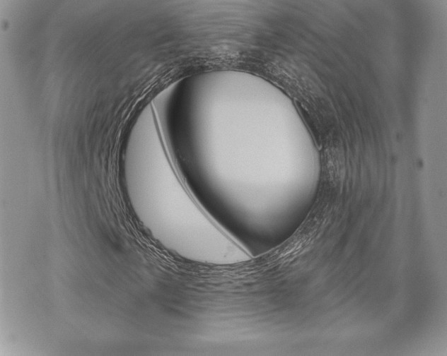 X0000073911057200608110934