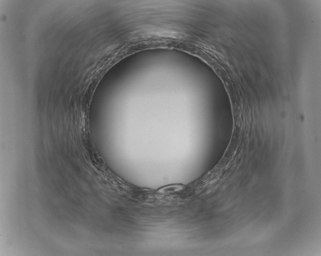 X0000073911061200608110934