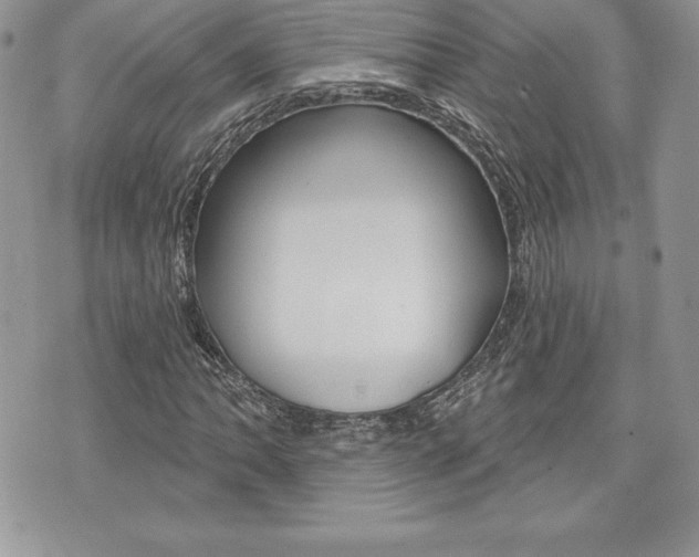 X0000073911062200608110934