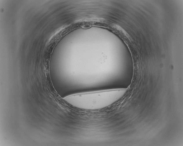 X0000073911064200608110934