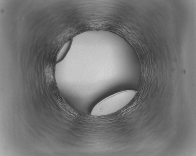 X0000073911106200608110933
