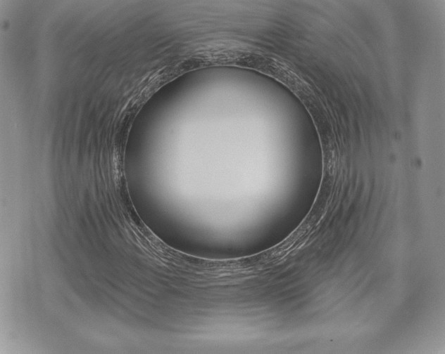 X0000073911108200608110933