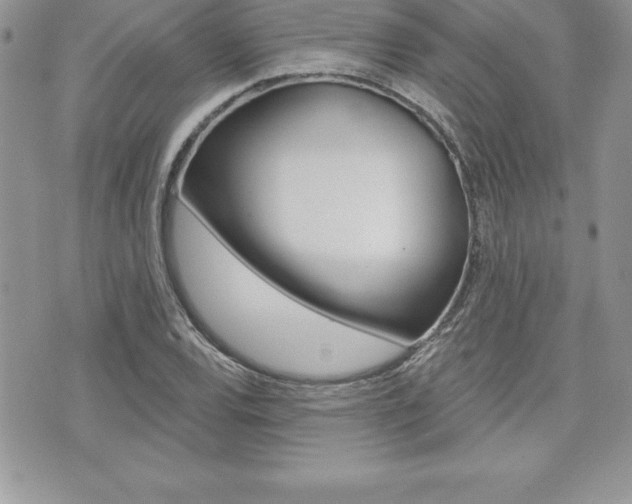 X0000073911120200608110933