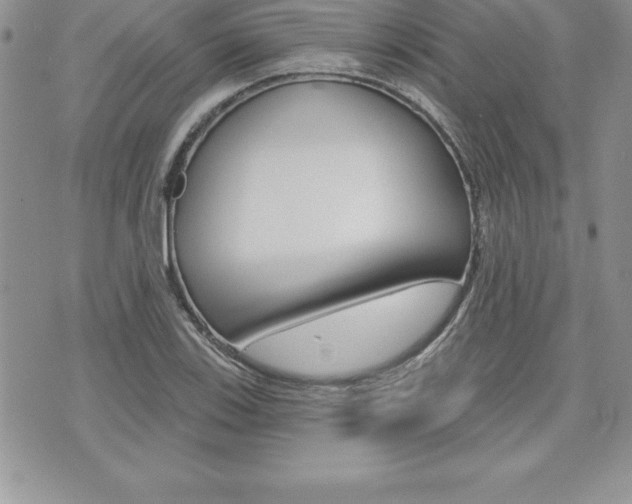 X0000073911123200608110933
