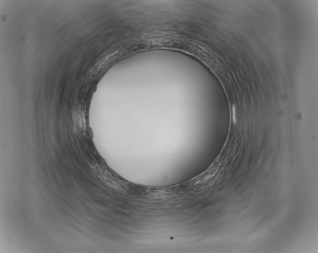 X0000073911155200608110933