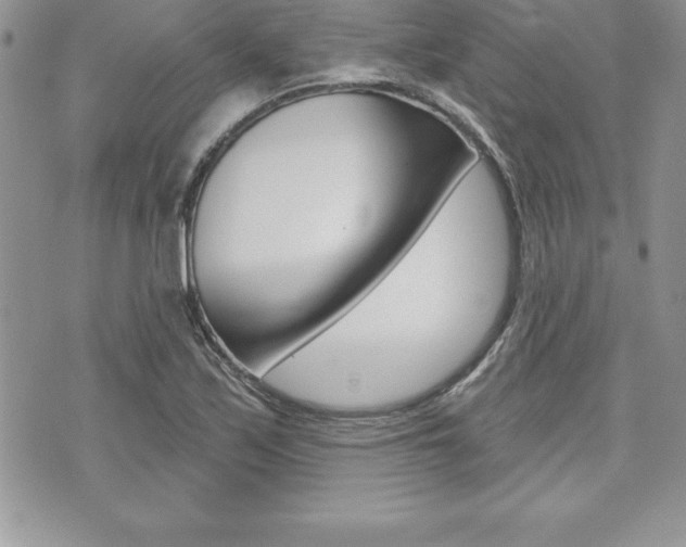 X0000073911171200608110933