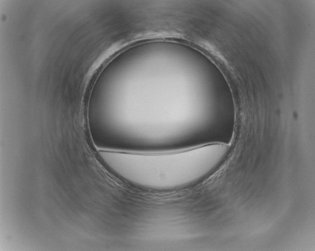 X0000073911173200608110933