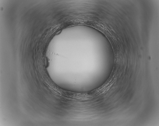 X0000073911201200608110931