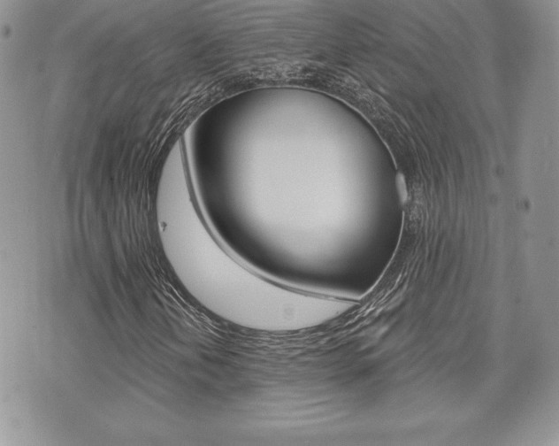 X0000073911202200608110931