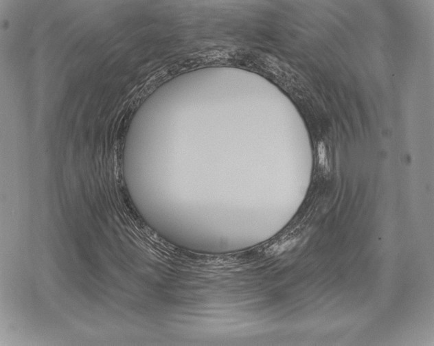 X0000073911203200608110931