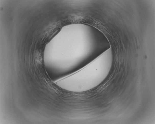 X0000073911204200608110931