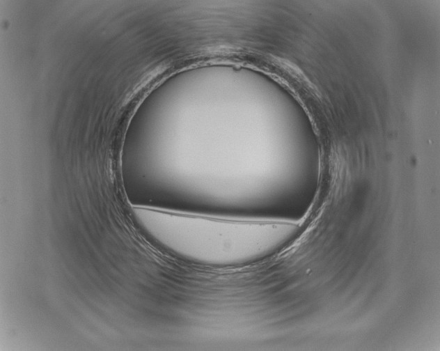 X0000073911209200608110931