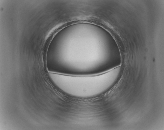 X0000073911214200608110932