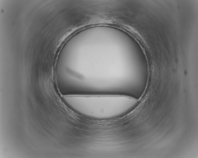 X0000073911220200608110932