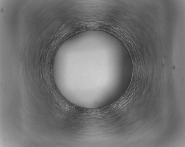 X0000073911249200608110931