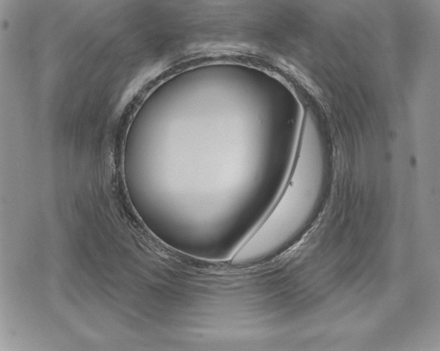 X0000073911261200608110931