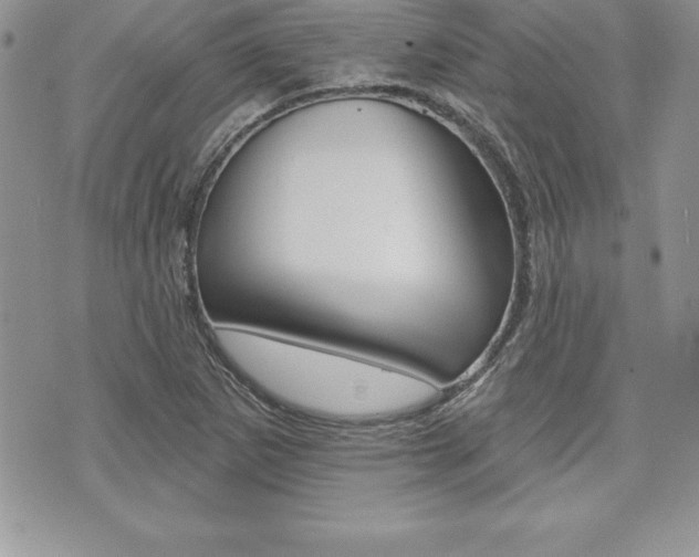 X0000073911265200608110931
