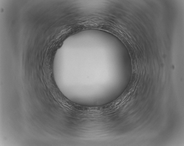 X0000073911297200608110930