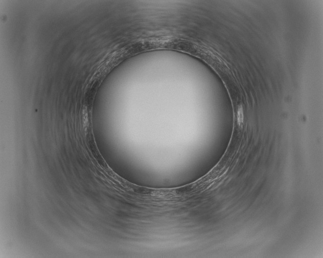 X0000073911299200608110930