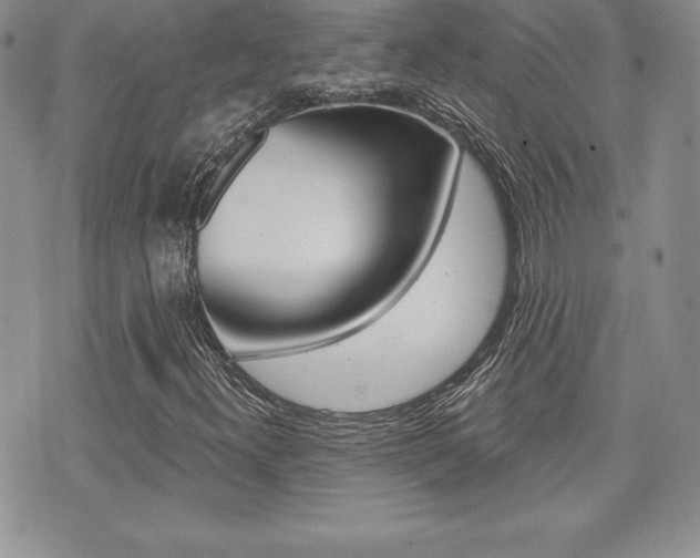 X0000073911300200608110930