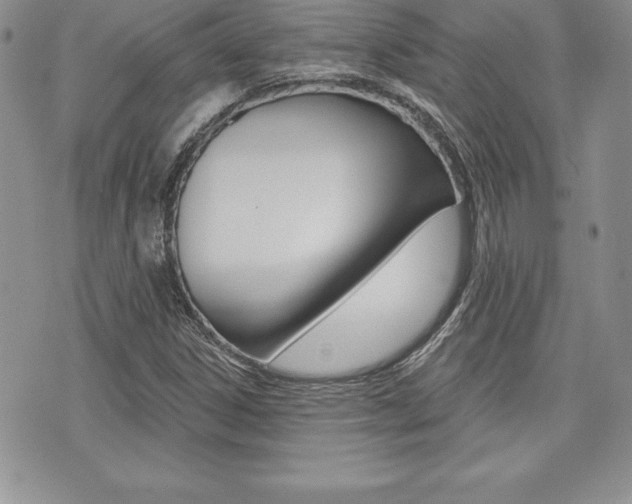X0000073911306200608110930